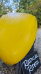 Waka Steeze Yellow Ex-Demo