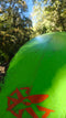 EXO Zion Slalom S Green/Black Ex-Demo
