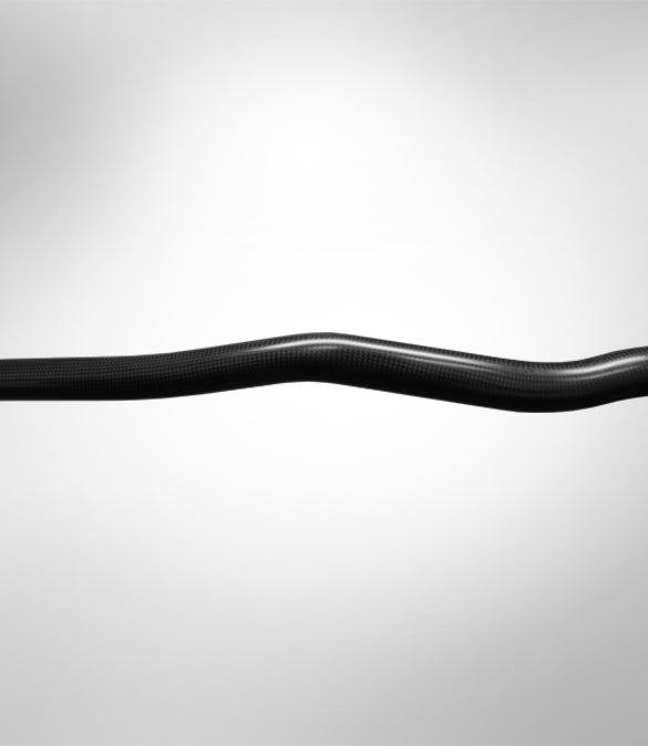 Werner Player Bent Carbon Glass BCG Paddle