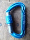 Whetman Argon S Screwgate Karabiner